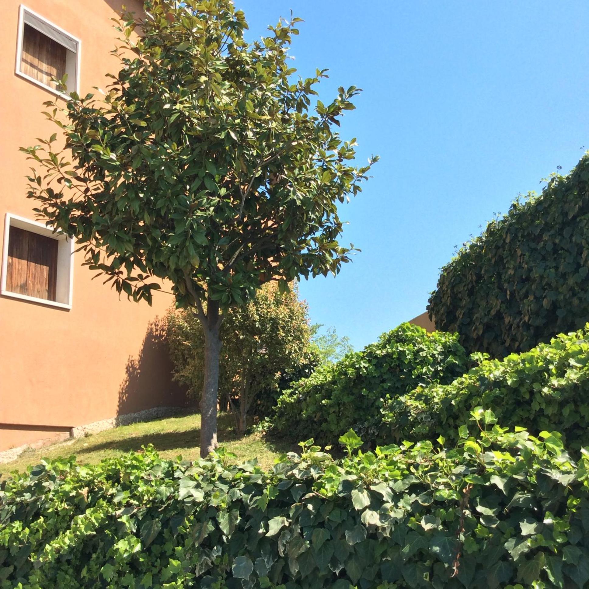 Apartment Filippo *